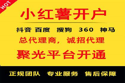 SEO与SEM融合策略：成功案例解析